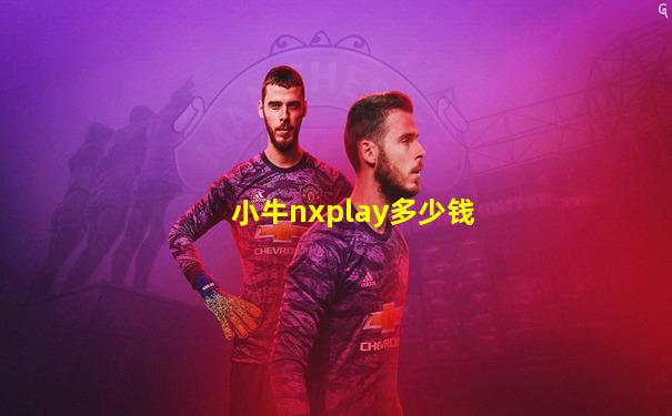 小牛nxplay多少钱