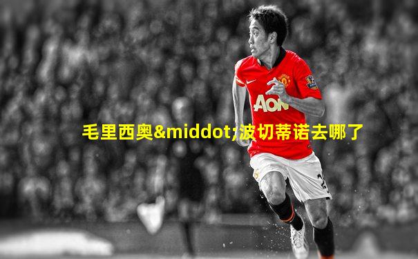 毛里西奥·波切蒂诺去哪了