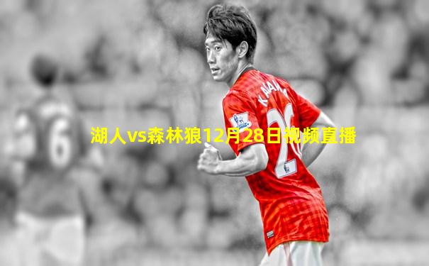 湖人vs森林狼12月28日视频直播